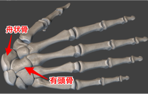 手の甲の痛み