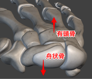 手の甲の痛み